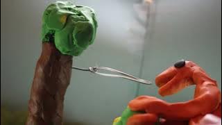 YouTube Thumbnail